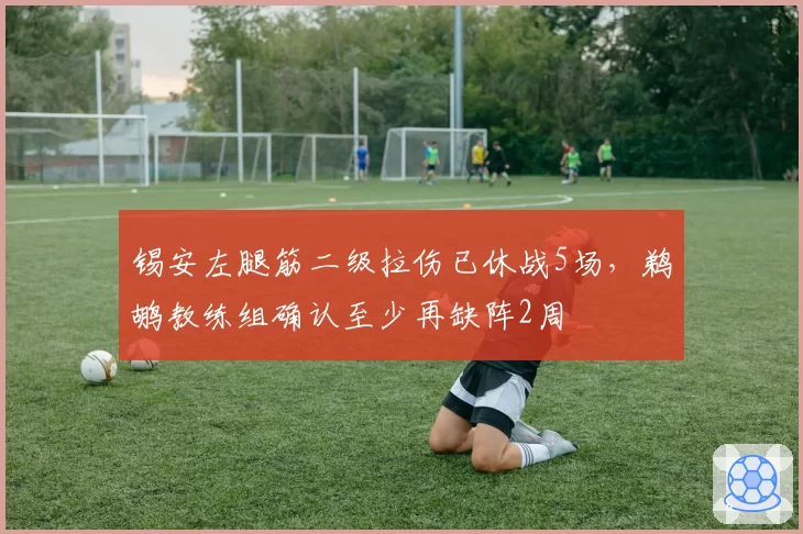 锡安左腿筋二级拉伤已休战5场,鹈鹕教练组确认至少再缺阵2周