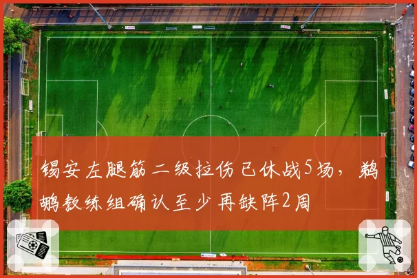 锡安左腿筋二级拉伤已休战5场,鹈鹕教练组确认至少再缺阵2周