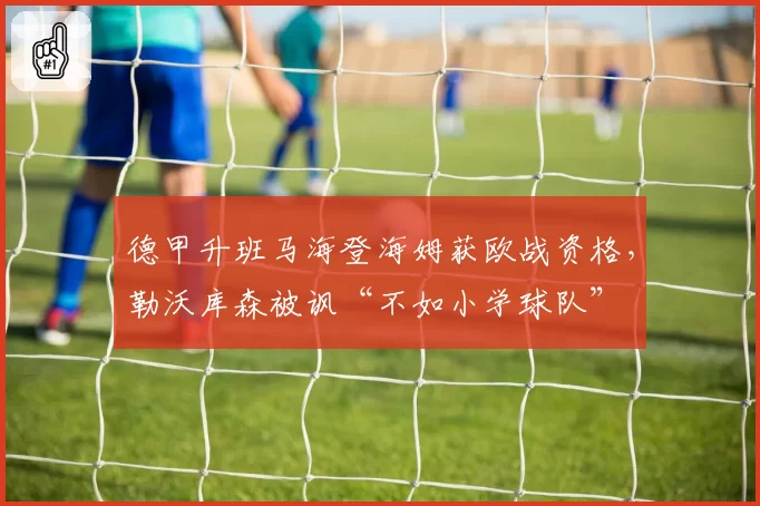 德甲升班马海登海姆获欧战资格，勒沃库森被讽“不如小学球队”