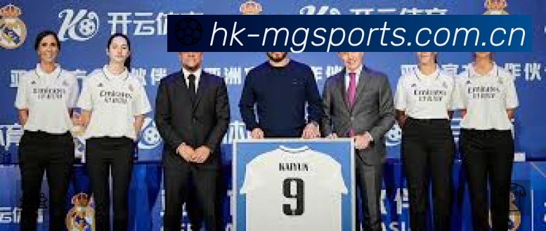 全球访问热力分布图